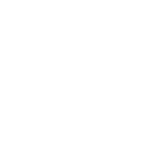 rodenstock